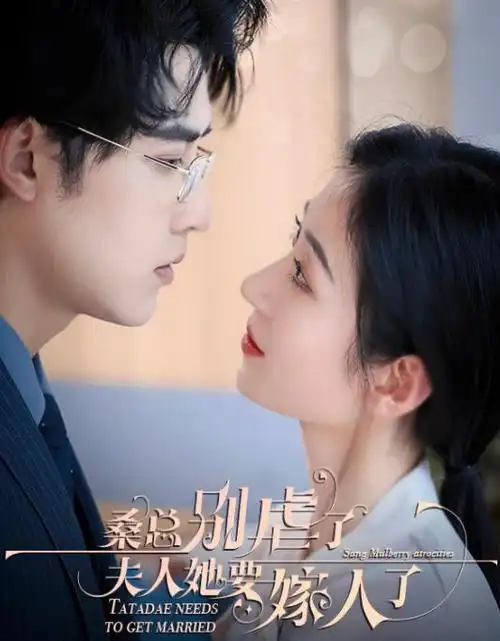长夜将明热播电视剧全集免费观看